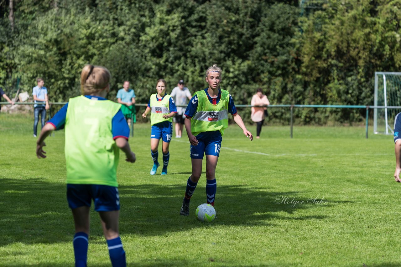 Bild 176 - B-Juniorinnen VfL Pinneberg - HSV : Ergebnis: 1:4